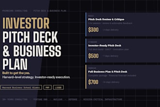 write an investor ready pitch deck and business plan
