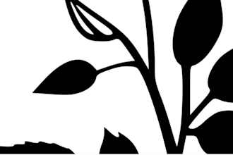 draw a custom black and grey tattoo design