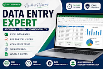 accurate data entry, excel data entry, PDF to excel, copy paste