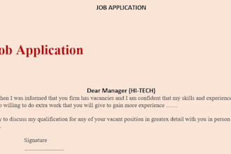 professional job application letter writing service