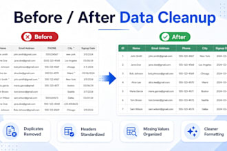 clean, format, deduplicate and organize your excel or CSV data