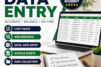 accurate dataentry, copy paste, web research and exel tasks