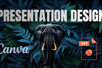 design modern powerpoint presentation and canva pitch deck