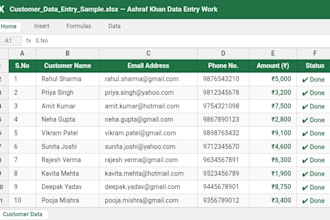 do fast and accurate data entry and excel work for you