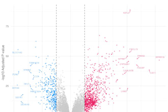 do rna seq differential expression and enrichment analysis