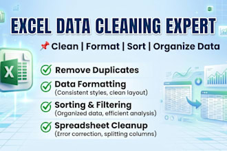 clean format sort filter and organize your excel spreadsheet