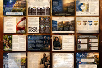 design a professional company profile or business proposal