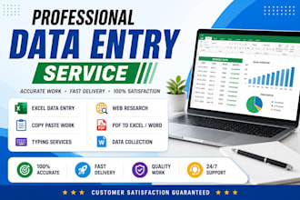 professional data entry and excel specialist