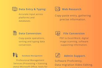 be your professional virtual and data entry assistant