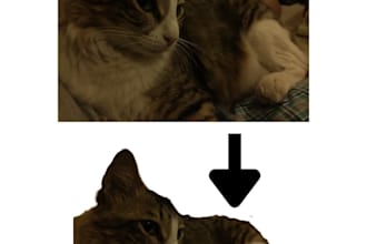 remove background, resize, and edit photos