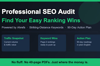 do a professional SEO audit and find your easy ranking wins