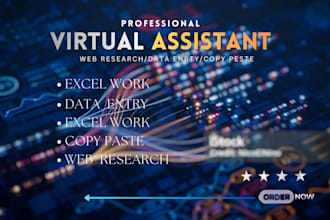 do excel data entry, web research and copy paste task