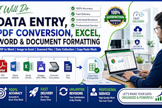 do fast and accurate data entry website data entry into excel