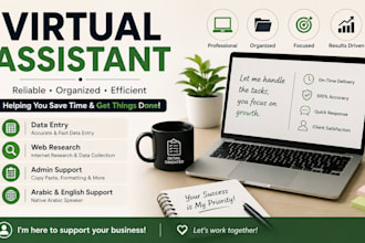 be your virtual assistant for data entry and online tasks