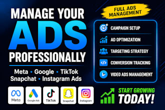 manage your ads on meta google tiktok facebook snapchat and instagram video ad