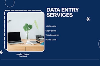 do accurate data entry, copy paste, typing and web research