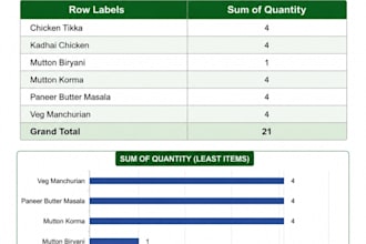 accurate data entry, excel data cleaning and formatting
