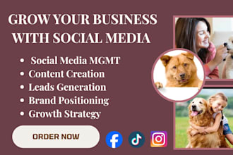 manage social media for pet grooming and dog grooming businesses