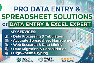 do data entry excel typing copypaste typing