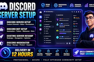 setup professional custom new and existing discord server setup discord bots