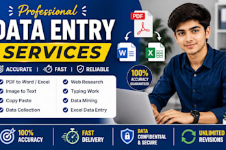 do fast and accurate data entry and copy typing work