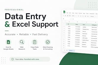 excell data entry and spreadsheet tasks