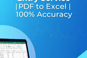 do fast accurate data entry, pdf to excel, copy paste, web research