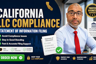 handle california statement of information filing and llc compliance