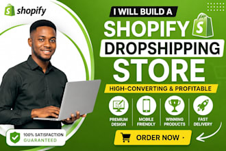 build a professional shopify dropshipping store