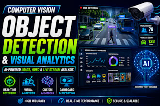 develop a computer vision app for object detection and visual analytics
