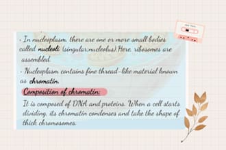 create aesthetic and organized study notes