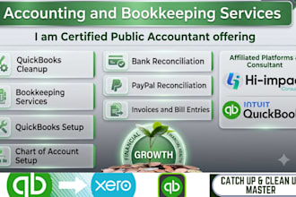 do quickbooks cleanup and bookkeeping expert accountant