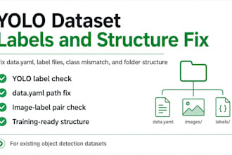 fix your yolo dataset labels and structure
