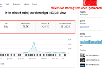 do 1 million usa views youtube video seo optimization for monetization