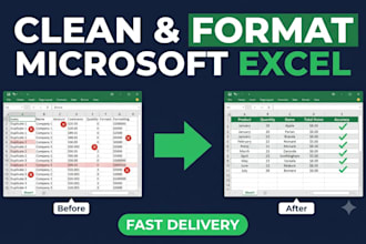 clean, format and organize microsoft excel data professionally