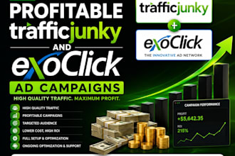 run profitable trafficjunky and exoclick ad campaigns