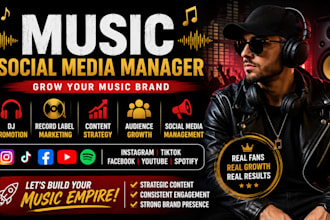 grow and manage your music brand dj or record label marketing, content, strategy