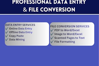 be your virtual assistant for data entry and excel copy paste work