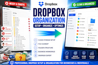 setup and organised your dropbox cloud storage professionally service