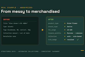 set up and clean your shopify product catalog collections and metafields