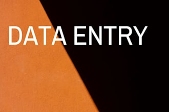 do fast and accurate data entry and typing work