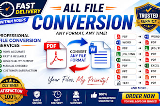 convert any file format professionally and accurately