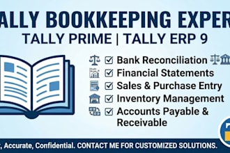 do professional bookkeeping and accounting in tally prime