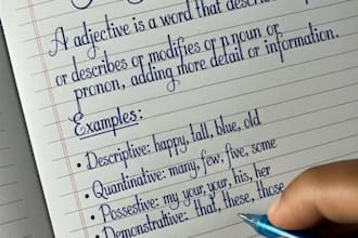 handwrite your assignment,notes  or essay in neat english