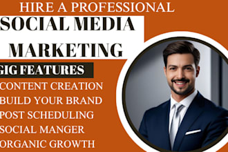 be your social media marketing manager and social media manager and content