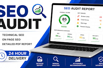 do complete SEO audit for your wordpress website