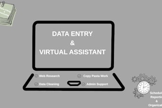be your expert data entry virtual assistant