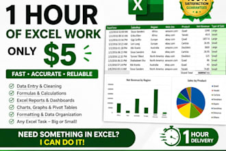 do data entry microsoft excel