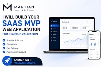 build your saas mvp web application for startup validation