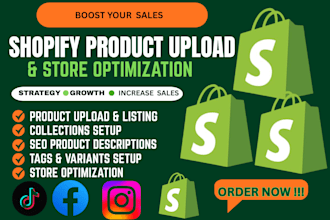 do shopify product upload and store optimization